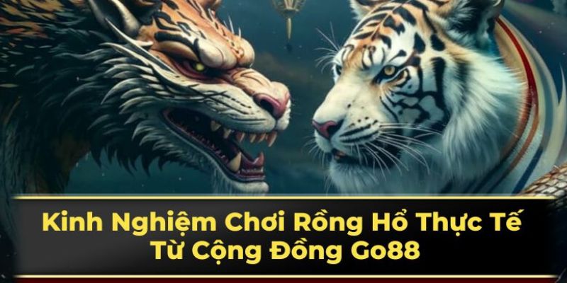 Học ngay bí kíp chơi rồng hổ từ cao thủ